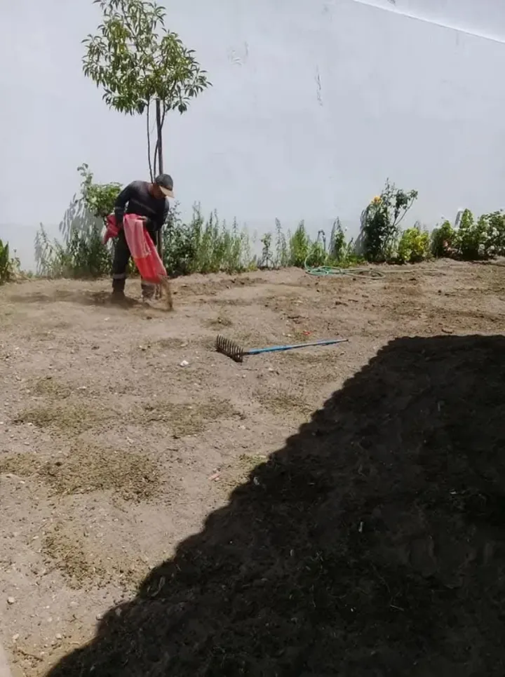 Área exterior antes de la creación del jardín (referencia Yanahuara)