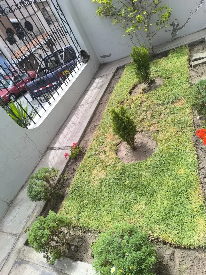Jardín después de mantenimiento (referencia Alto Selva Alegre)