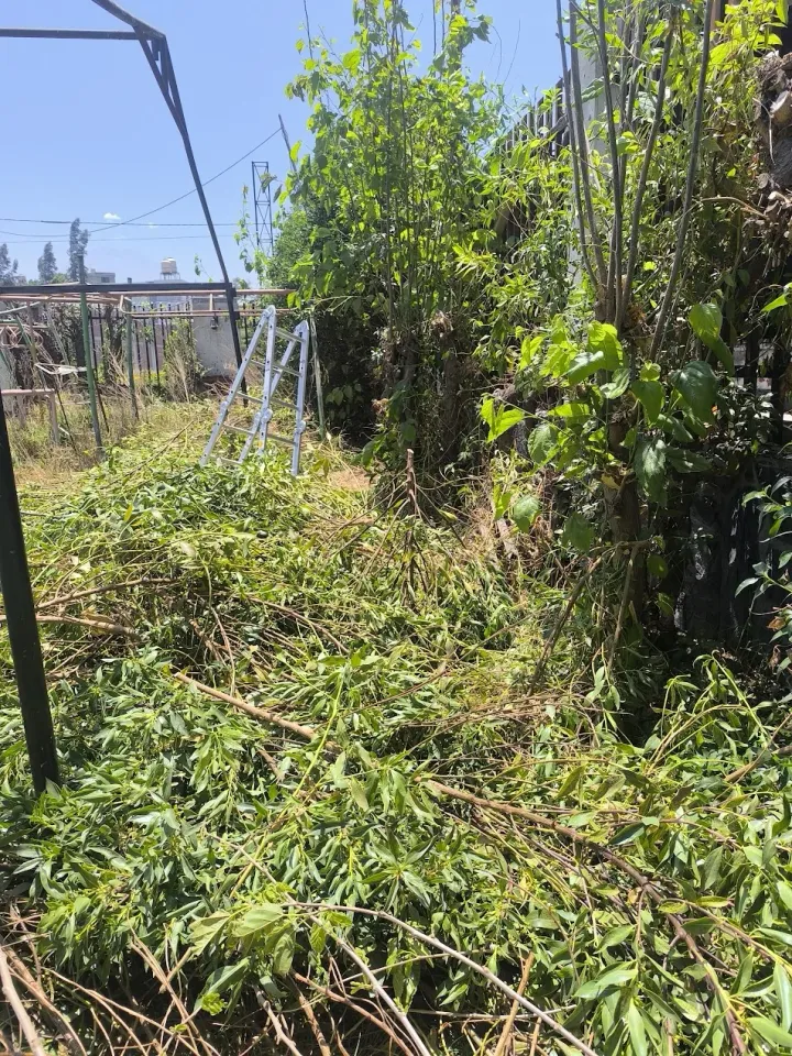 Área verde recuperada al finalizar el proceso en sede residencial