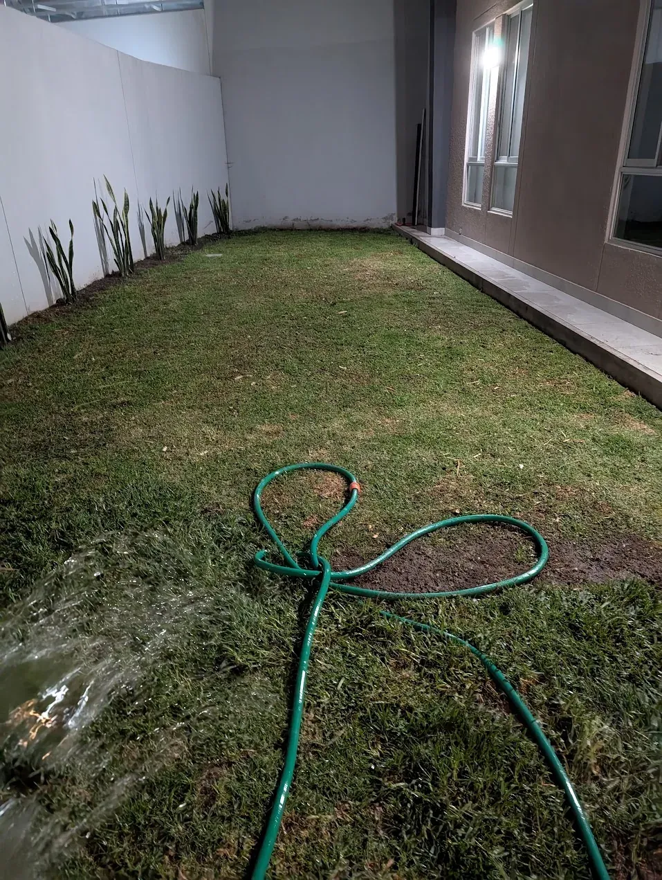 Jardín rediseñado con mejor distribución y cobertura vegetal